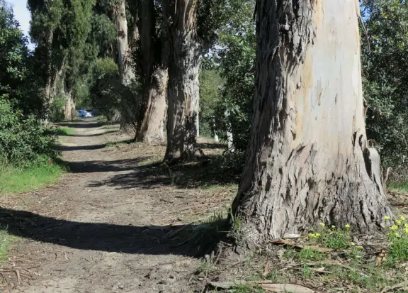 Best playground you'll ever visit! Huge slides, hillside slides, steep grass slope for cardboard sledding, cable zipline, and pretty trees to picnic under.