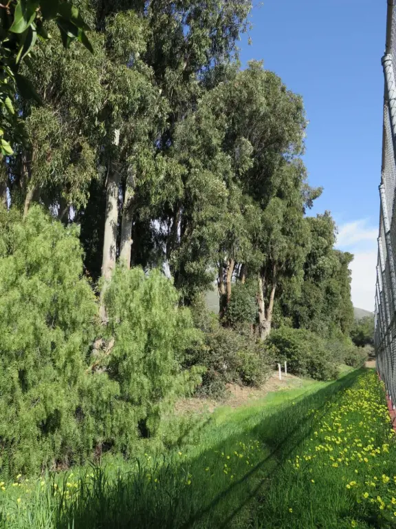 Best playground you'll ever visit! Huge slides, hillside slides, steep grass slope for cardboard sledding, cable zipline, and pretty trees to picnic under.