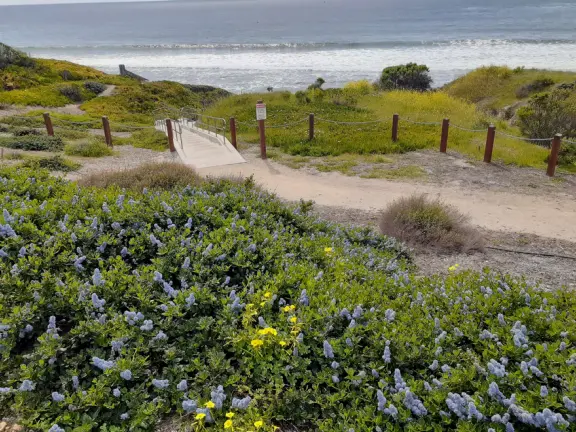 Supremely nice views from many varied vantage points. A clifftop park, beach with tide pools, and start of a long walk.