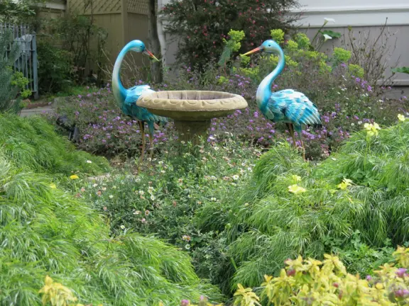 Take a walk past pretty Victorian homes and gardens.
