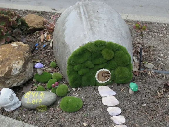 Take a walk past pretty Victorian homes and gardens.