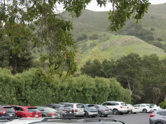 Pretty neighborhood with sweet houses and gardens, and bridge over the creek.