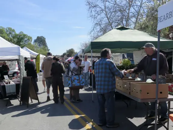 A great walkable downtown with a huge park, amazing playground, and cute stores and cafes.