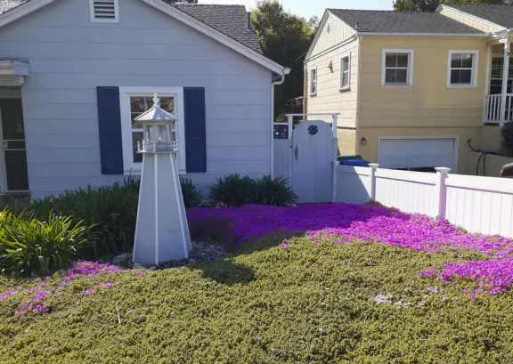 Lighthouse decoration and bright purple ice plant!