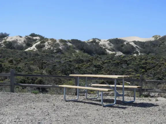 Incredible huge sand dunes, like a national park! Start at the Sandboarding Entry Trailhead.