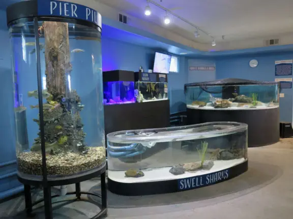 Colorful pirate playground by the sea, with lovely clean sand below the structure, right next door to the small but fun Central Coast Aquarium.