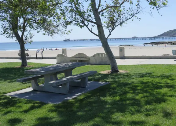 Colorful pirate playground by the sea, with lovely clean sand below the structure, right next door to the small but fun Central Coast Aquarium.