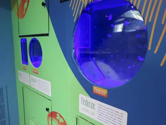 Colorful pirate playground by the sea, with lovely clean sand below the structure, right next door to the small but fun Central Coast Aquarium.
