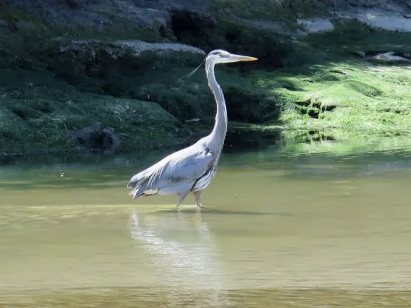 Colorful, pretty main street and boardwalk, with great cafes, lovely ship playground, and mesmerizing yellow cliffs.