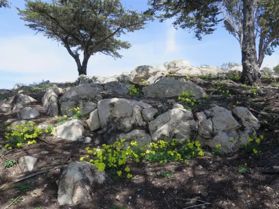 With beautiful views of the bay, and some interesting displays to check out.