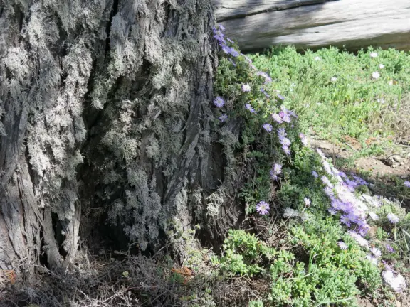 With beautiful views of the bay, and some interesting displays to check out.