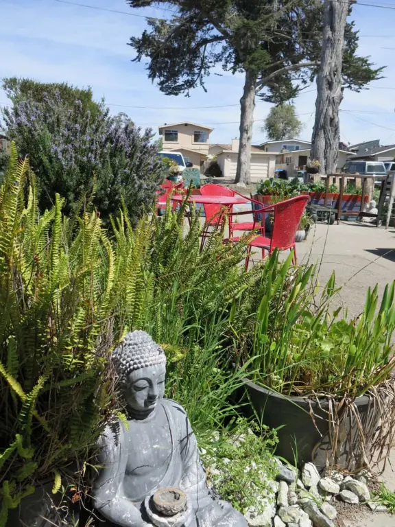 A tiny stretch of boardwalk in a beautiful setting on the estuary, with a coffee shop with a sunny patio facing the water, and cute cafes where you can relax.