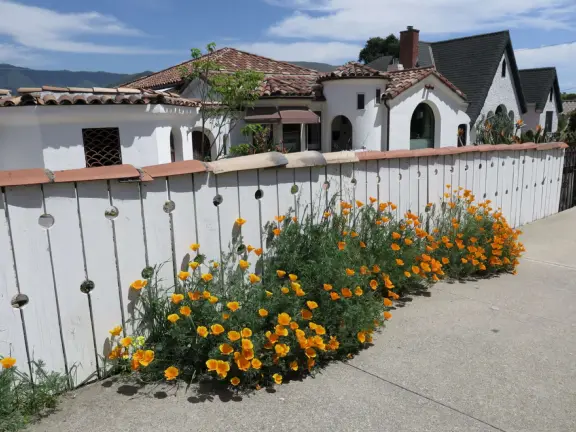 Narrow tree-lined streets in the Anholm District with historic houses and views of Madonna Mountain and Bishop Peak, and a sweet deli.