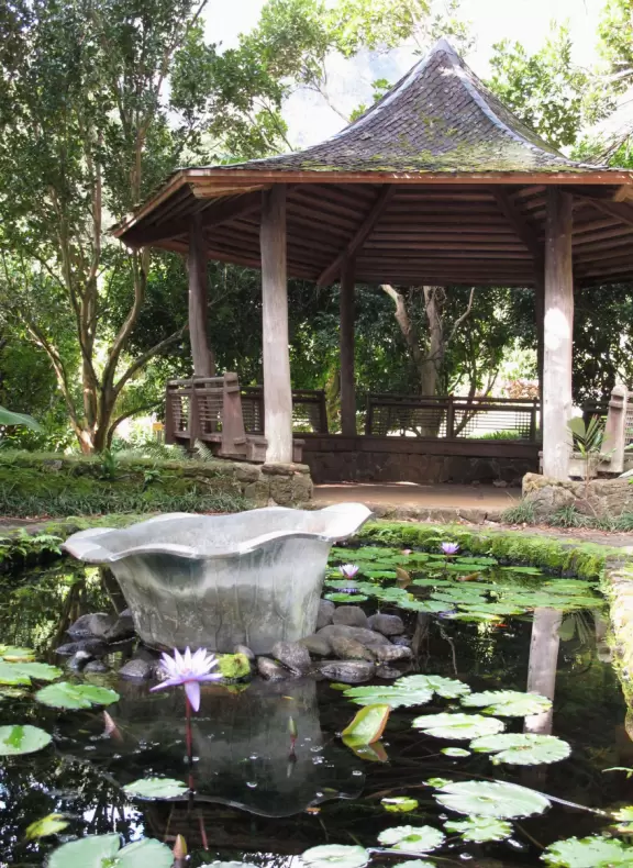 Jungle, only a few minutes from Honolulu!