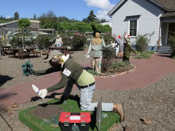Dozens of scarecrows around Cambria East, Cambria West, Moonstone Drive, and San Simeon! In front of businesses. Very fun!