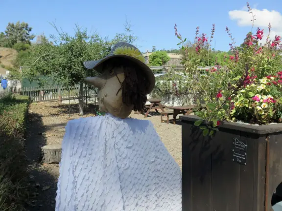 Dozens of scarecrows around Cambria East, Cambria West, Moonstone Drive, and San Simeon! In front of businesses. Very fun!