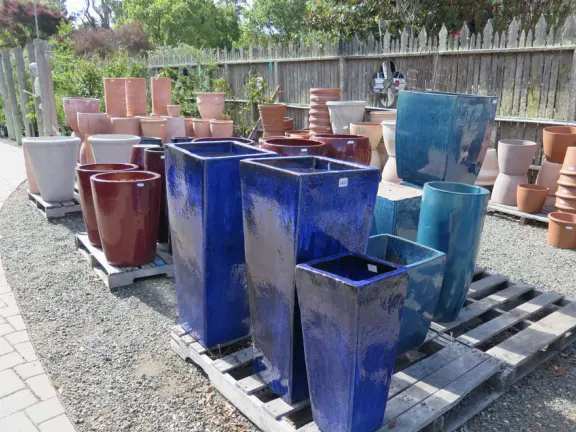 Garden in a sunny, sheltered spot, with cottage with turret under redwood trees, Buddhist gazebo, goats, and flowers galore! Seasonal pumpkins and Christmas market!