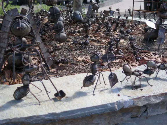 Garden in a sunny, sheltered spot, with cottage with turret under redwood trees, Buddhist gazebo, goats, and flowers galore! Seasonal pumpkins and Christmas market!