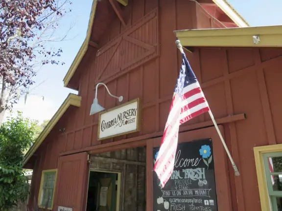 Garden in a sunny, sheltered spot, with cottage with turret under redwood trees, Buddhist gazebo, goats, and flowers galore! Seasonal pumpkins and Christmas market!