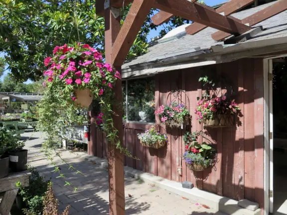 Garden in a sunny, sheltered spot, with cottage with turret under redwood trees, Buddhist gazebo, goats, and flowers galore! Seasonal pumpkins and Christmas market!