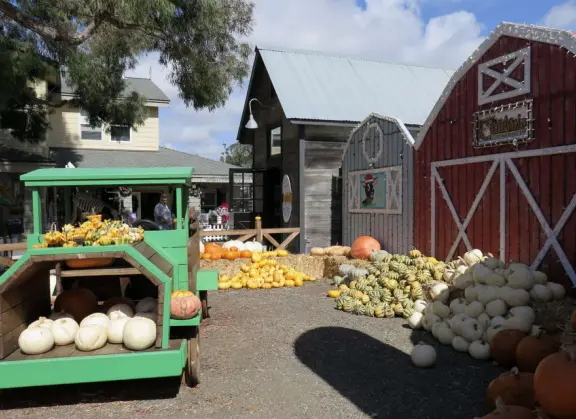 Garden in a sunny, sheltered spot, with cottage with turret under redwood trees, Buddhist gazebo, goats, and flowers galore! Seasonal pumpkins and Christmas market!