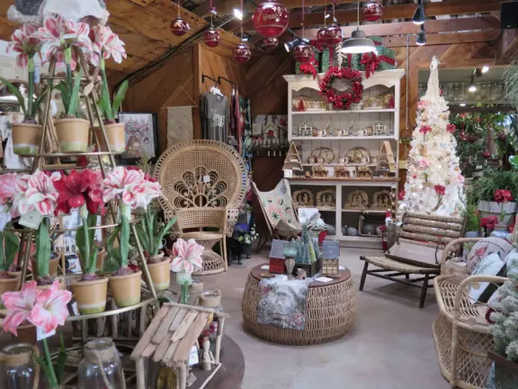 Garden in a sunny, sheltered spot, with cottage with turret under redwood trees, Buddhist gazebo, goats, and flowers galore! Seasonal pumpkins and Christmas market!