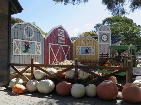 Garden in a sunny, sheltered spot, with cottage with turret under redwood trees, Buddhist gazebo, goats, and flowers galore! Seasonal pumpkins and Christmas market!