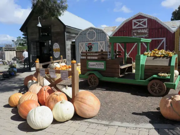 Garden in a sunny, sheltered spot, with cottage with turret under redwood trees, Buddhist gazebo, goats, and flowers galore! Seasonal pumpkins and Christmas market!