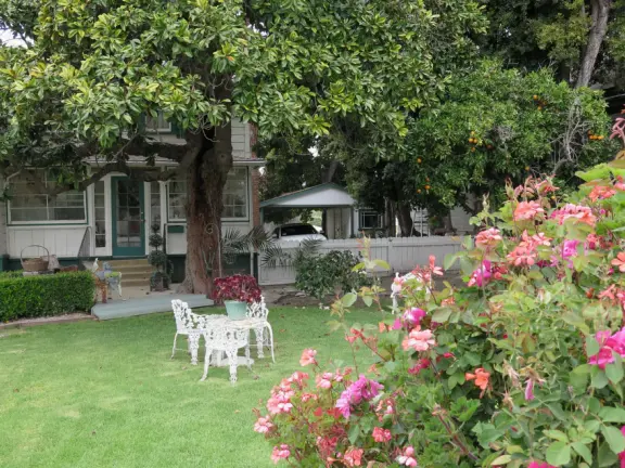 Nice little main street, with cafes, pretty storefronts, park, swinging bridge over a creek with tropical vegetation, and neighborhood with white picket fences and gardens.