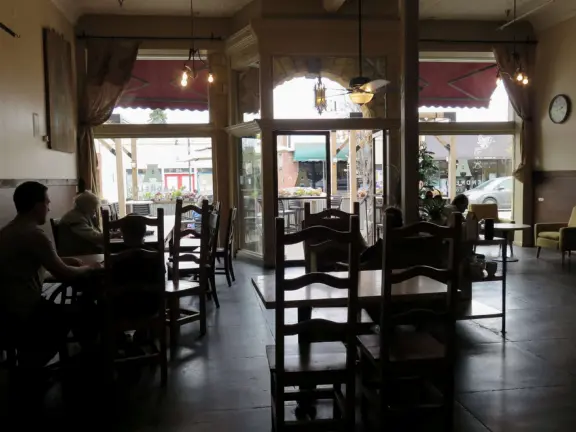 Nice little main street, with cafes, pretty storefronts, park, swinging bridge over a creek with tropical vegetation, and neighborhood with white picket fences and gardens.