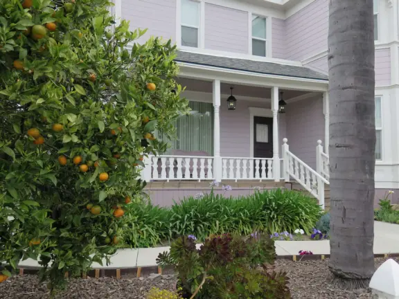 Large lush park with tall tropical trees, attractive bandstand, cute toddler playground, historic house and schoolhouse, swinging bridge to the main street, and neighborhood with cottages.