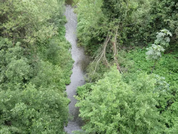 Large lush park with tall tropical trees, attractive bandstand, cute toddler playground, historic house and schoolhouse, swinging bridge to the main street, and neighborhood with cottages.