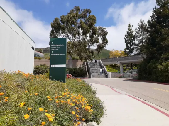 Hilly, sunny campus with tall, impressive trees and green lawns. A hands-on learning university.