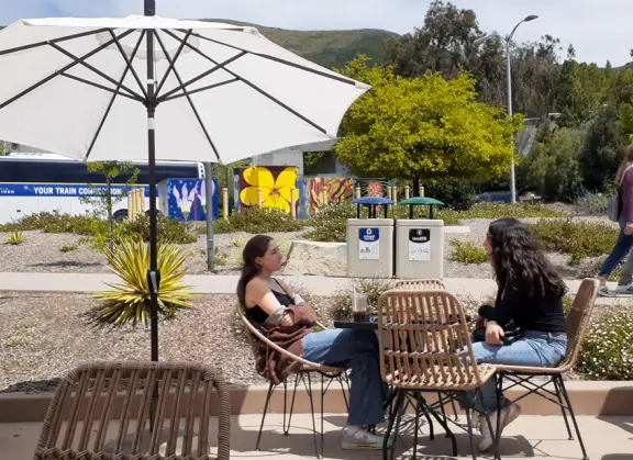 Hilly, sunny campus with tall, impressive trees and green lawns. A hands-on learning university.