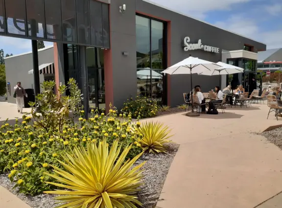 Hilly, sunny campus with tall, impressive trees and green lawns. A hands-on learning university.