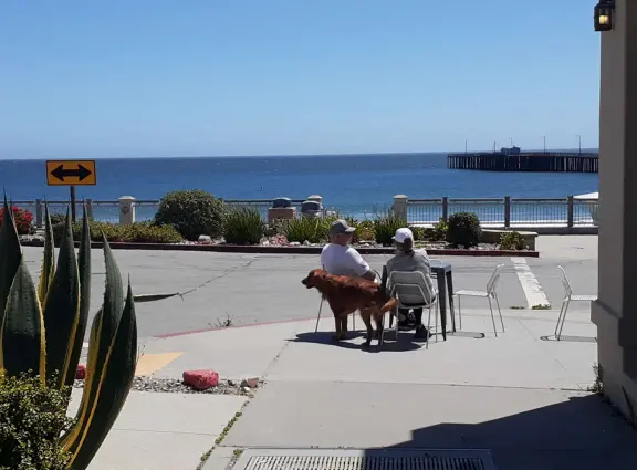 Gorgeous street of colorful, attractive buildings overlooking a beach with stunning headlands. Wooden pier.