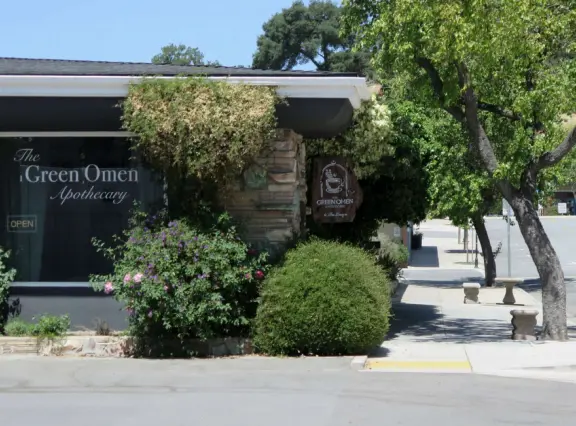 Sunny town with a cute main street, and City Hall with beautiful Sunken Garden with sculptures, tall old trees including magnolia trees, and fountains.