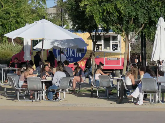 Hilly, sunny campus with tall, impressive trees and green lawns. A hands-on learning university.