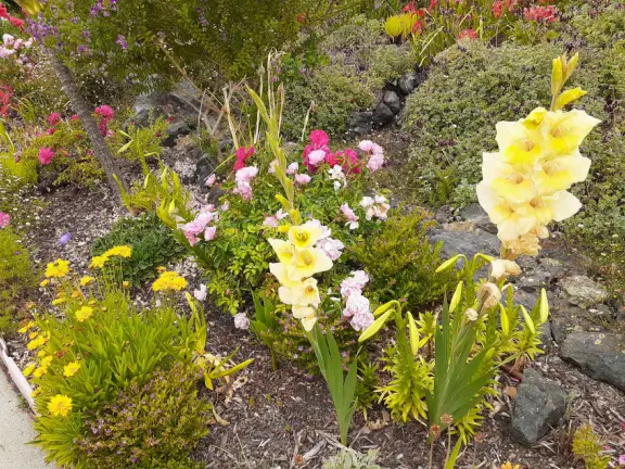 Hilltop park with basketball court with views, picnic tables, eucalyptus trees, and a difficult two-mile out-and-back trail.