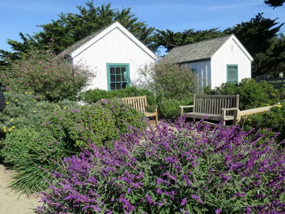 A beautiful, well-cared-for lighthouse with idyllic views of the golf course, dunes, and sea, and a garden with bright flowers.
