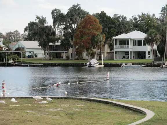 White sand beach on the canals of Crystal River, with a roped swimming section that is wonderful for a dip!