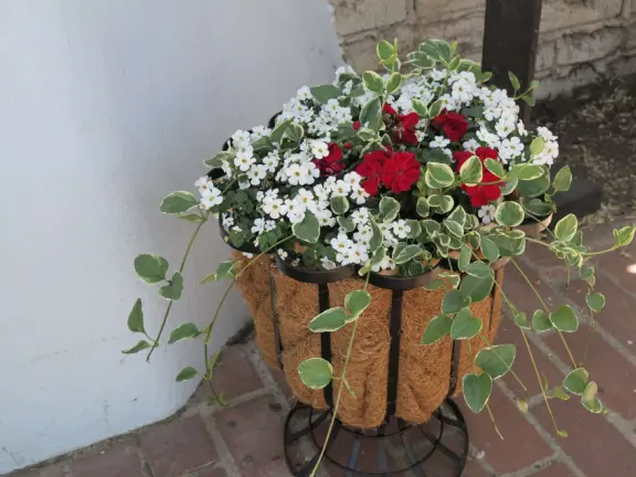 A Danish-American town that is a bit of a tourist trap, but charming nonetheless.