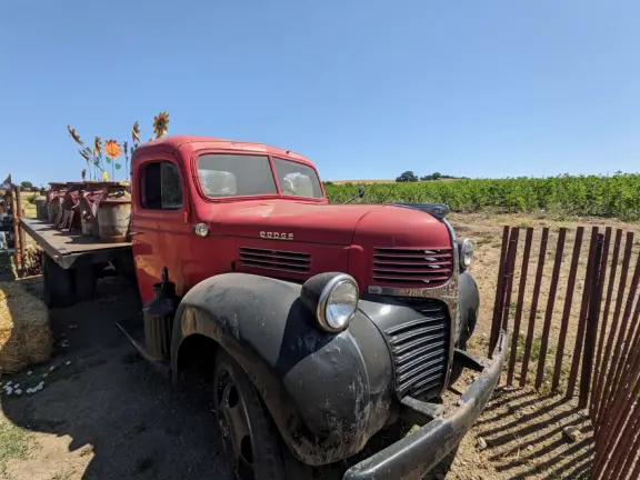 Pristine farm by a hill covered in bright foliage, with oil and vinegar tasting, honey tasting, u-pick, farm store, and adorable kids area with goats, chickens, rabbits, and colorful play areas.