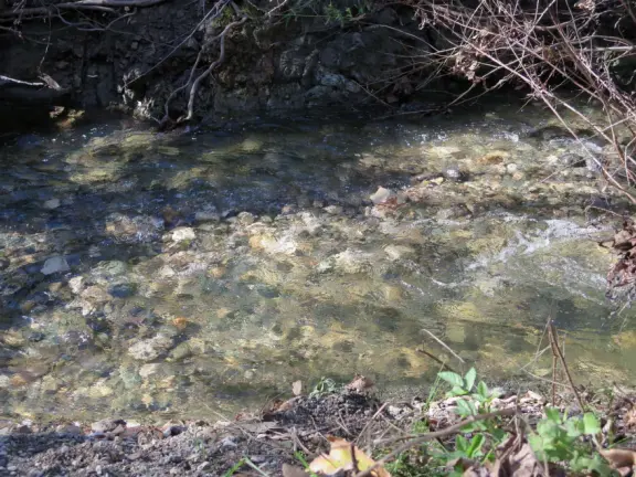 Beautiful playground and setting, but terrible freeway noise.