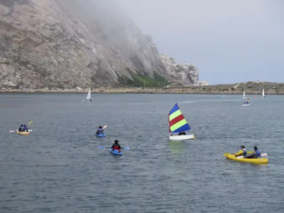 A delightful rock, beautiful wildlife, peaceful idyllic estuary, imaginative playground, and colorful little town.