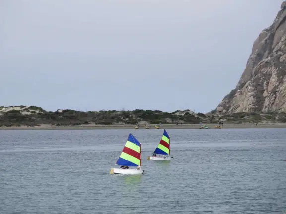 A delightful rock, beautiful wildlife, peaceful idyllic estuary, imaginative playground, and colorful little town.