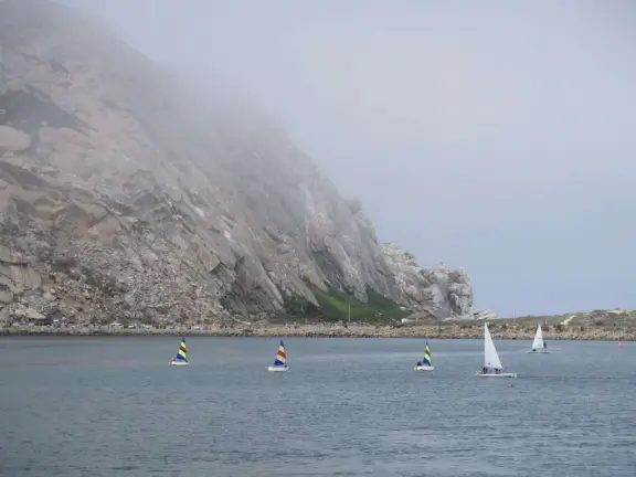 A delightful rock, beautiful wildlife, peaceful idyllic estuary, imaginative playground, and colorful little town.