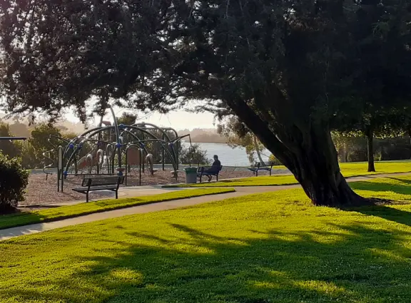 Open space with trail through long dry grasses and views of the hills, beside a blue lake with geese, picnic tables, and a playground.