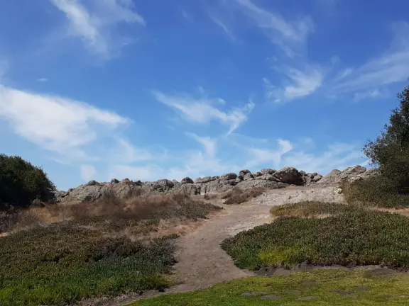 A lovely park in Pismo Heights with playground, sloped lawn with picnic areas, and best of all- rocky lookout with spectacular views of the coastline.