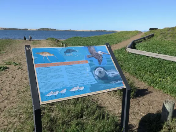 Windy estuary beach (called Baywood Park Beach), bench with views of Morro Rock, and waterfront lookout deck, plus lovely beach houses and views of the mountains.